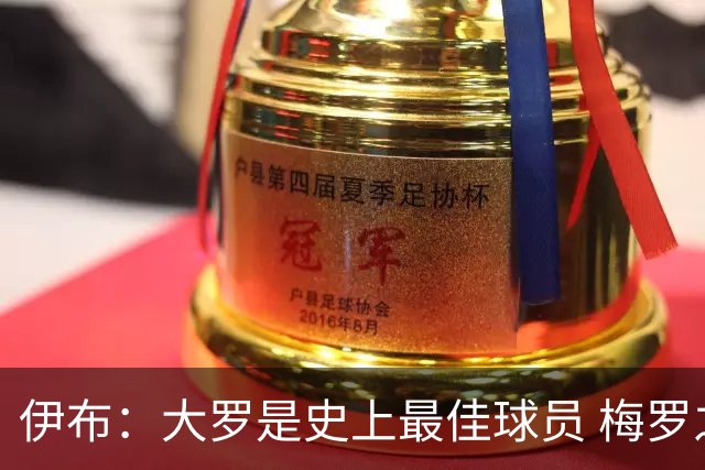 伊布：大罗是史上最佳球员 梅罗之间我选择梅西