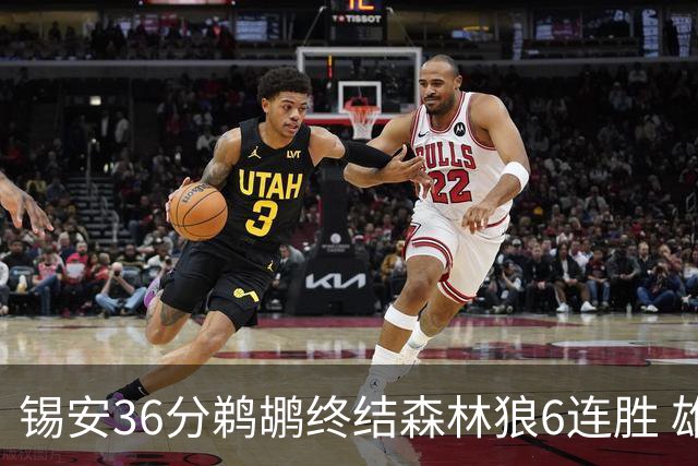 锡安36分鹈鹕终结森林狼6连胜 雄鹿险胜公牛